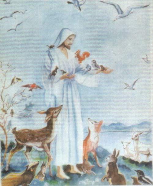 The Story of Yeshua