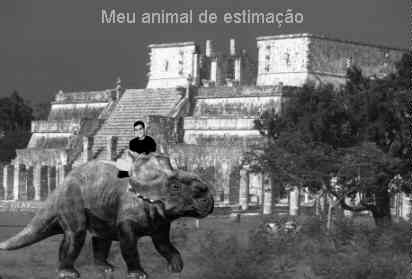 MEU BICHO DE ESTIMA��O