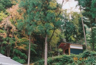 No.1-24 �x�e��