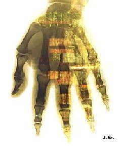 Hand
