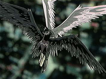  [wings!] 