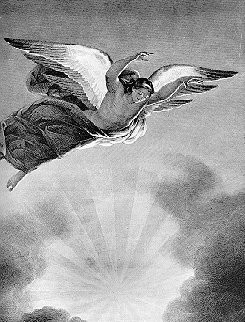 BWhoverangle.jpg (30234 bytes)
