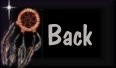 Nativeback.jpg (2331 bytes)