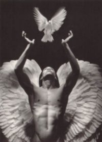 PeaceAngel.jpg (20135 bytes)