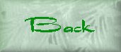 imgaineback.jpg (3433 bytes)