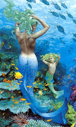 mer14.jpg (35828 bytes)