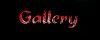 Image Gallary