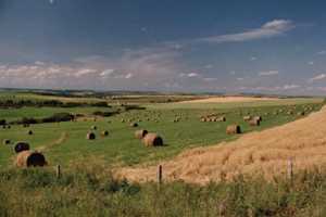 Near Madden