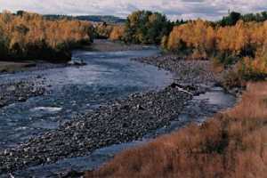 Sheep River