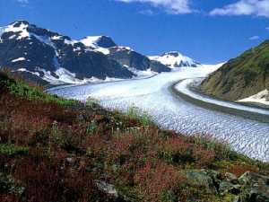 Salmon Glacier near Stewart