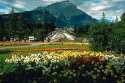 Banff Avenue and Cascade Mountain